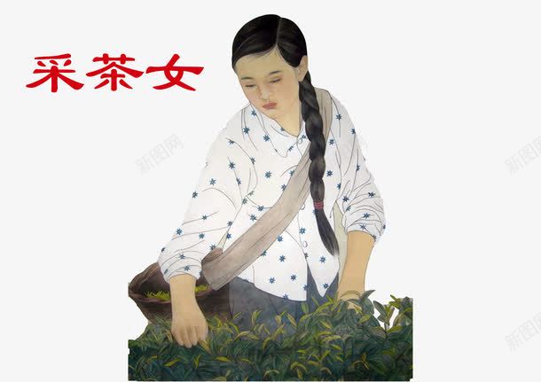 茶茶农png免抠素材_新图网 https://ixintu.com 彩色 茶 茶农 茶叶制作 采茶女