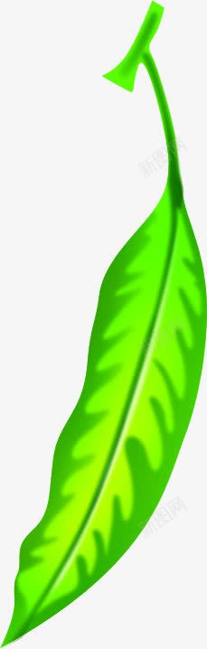 手绘夏季绿色纹理树叶png免抠素材_新图网 https://ixintu.com 夏季 树叶 纹理 绿色