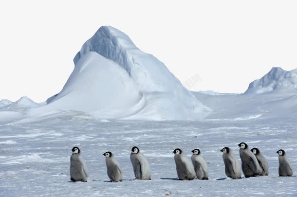 唯美南极景点png免抠素材_新图网 https://ixintu.com 南极 南极雪 唯美南极景点 旅游景区 著名景点
