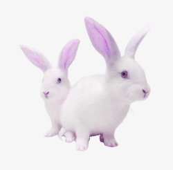 紫色卡通兔子装饰图案素材