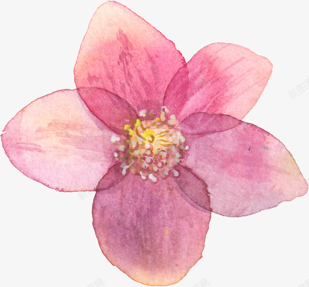 水彩手绘粉色花朵png免抠素材_新图网 https://ixintu.com 手绘 水彩 粉色花朵