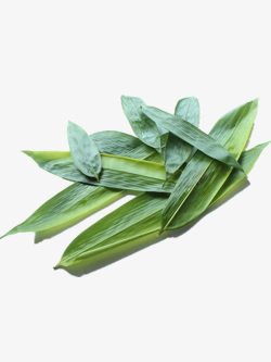 卷着的粽叶粽叶的高清图片