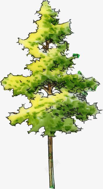 绘画树木展板png免抠素材_新图网 https://ixintu.com 展板 树木 绘画 设计