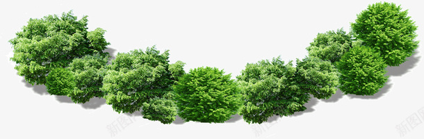 弧形绿色树木png免抠素材_新图网 https://ixintu.com 弧形 树木 绿色