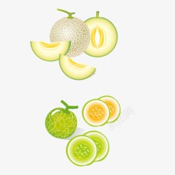 绿色哈密瓜水果素材