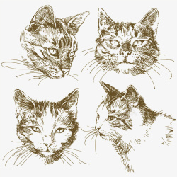 4款手绘猫头矢量图素材