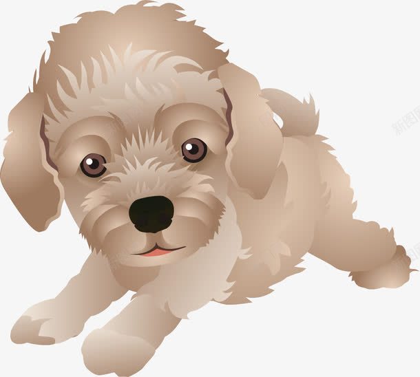 卡通png免抠素材_新图网 https://ixintu.com 卡通 宠物狗 硬毛指示格里芬犬