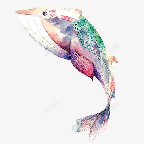 鲸鱼花纹片png免抠素材_新图网 https://ixintu.com 创意绘画 花纹装饰 装饰素材 鲸鱼