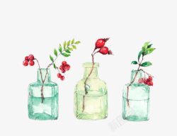 花瓶和植物素材