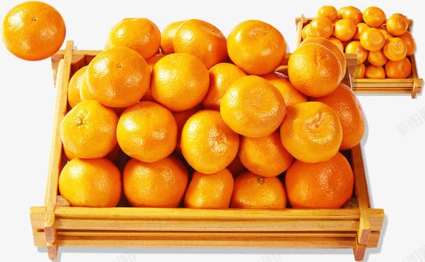 桔子png免抠素材_新图网 https://ixintu.com 桔子桔橙子橙
