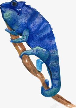 蓝色蜥蜴手绘蓝色蜥蜴高清图片