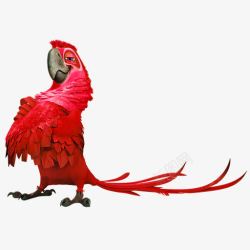 红色鹦鹉装饰图案素材