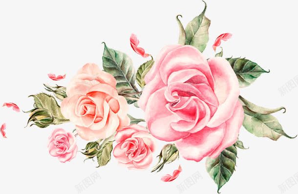 粉色手绘唯美花朵植物玫瑰png免抠素材_新图网 https://ixintu.com 植物 玫瑰 粉色 花朵