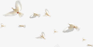 白色飞舞翱翔天际白鸽png免抠素材_新图网 https://ixintu.com 天际 白色 白鸽 翱翔 飞舞