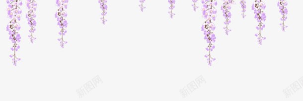 吊下来的花朵png免抠素材_新图网 https://ixintu.com 吊花 小花 漂亮装饰 紫色