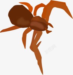 棕色的卡通蜘蛛素材