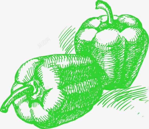 手绘绿色素描青椒图案png免抠素材_新图网 https://ixintu.com 图案 手绘 素描 绿色 青椒