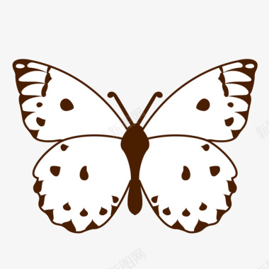 白色的蝴蝶图标图标