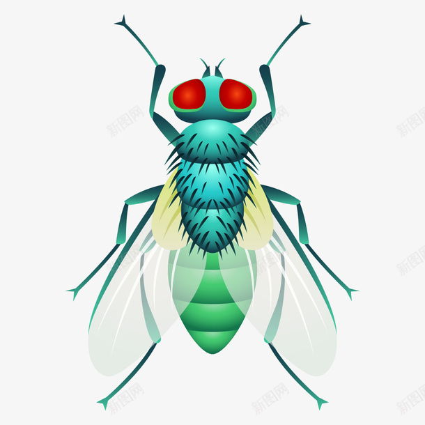 绿头苍蝇png免抠素材_新图网 https://ixintu.com png图形 png装饰 害虫 手绘 苍蝇 装饰