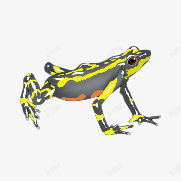 黄色的青蛙png免抠素材_新图网 https://ixintu.com 动物 青蛙素材