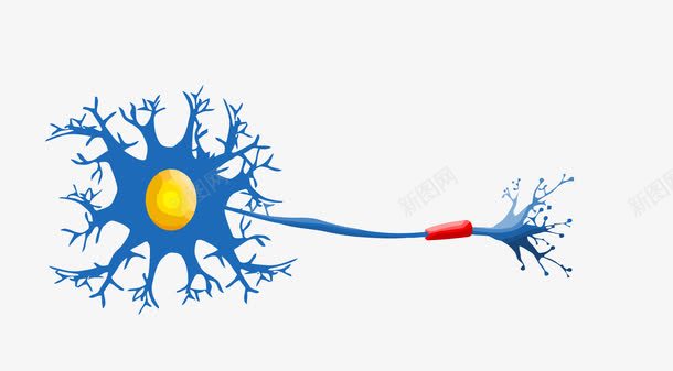 蓝色细胞神经png免抠素材_新图网 https://ixintu.com 干细胞 神经 细胞 细胞神经 蓝色细胞