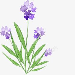 手绘紫色漫画花朵素材