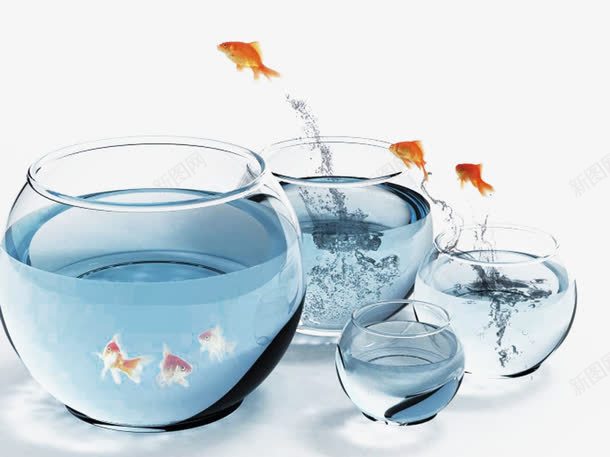 鱼缸里的鱼png免抠素材_新图网 https://ixintu.com 圆形 跳起来的鱼 鱼 鱼缸