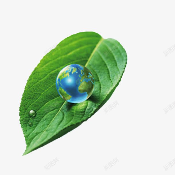 绿叶与地球png免抠素材_新图网 https://ixintu.com 图片 地球 地球素材 大自然 植物 素材 绿叶