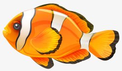 橙色斑纹鱼素材