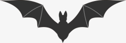 黑色蝙蝠图案图形素材