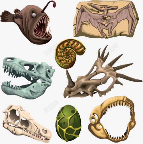 化石png免抠素材_新图网 https://ixintu.com 创意 化石 骨骼