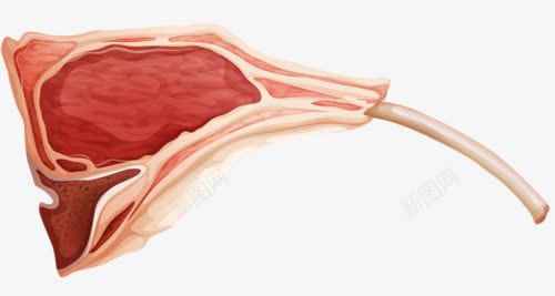 羊肉架png免抠素材_新图网 https://ixintu.com 羊肉 肉 食材