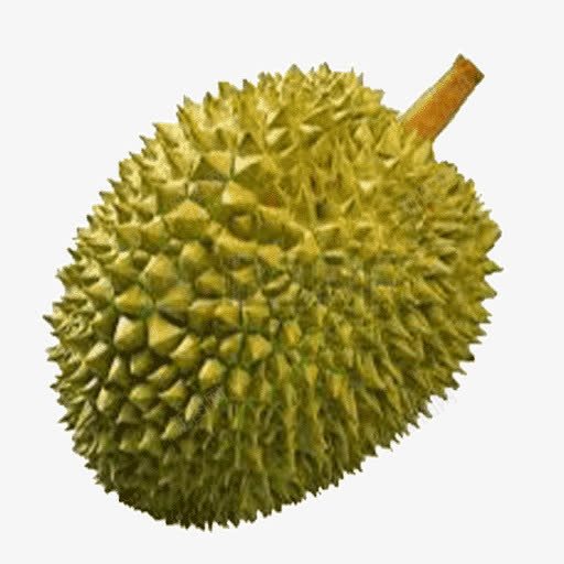 美味榴莲png免抠素材_新图网 https://ixintu.com 果物 果盘 榴莲 水果