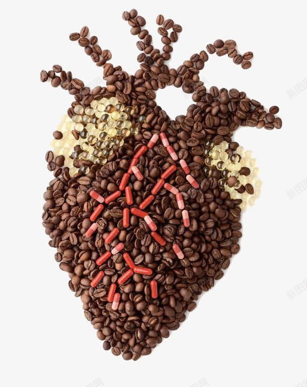 咖啡豆心脏器官png免抠素材_新图网 https://ixintu.com 咖啡豆 器官 心脏 血液