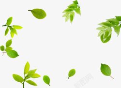 创意手绘绿色的树叶效果元素素材