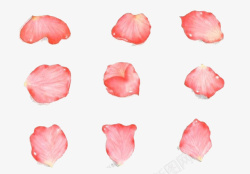 水彩花瓣素材