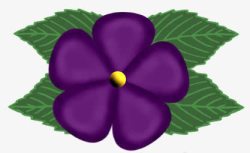 紫色五叶花素材
