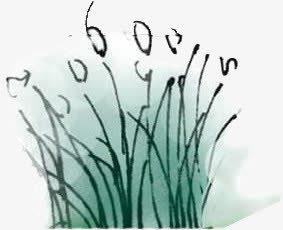 创意效果合成漫画植物png免抠素材_新图网 https://ixintu.com 创意 合成 效果 植物 漫画