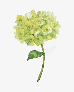 墙壁手绘花朵背景图片绿色花朵高清图片