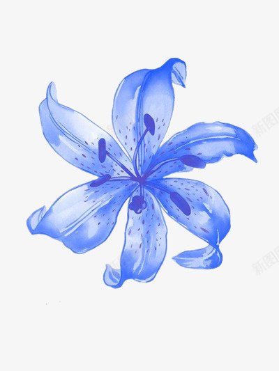 蓝色水彩花卉装饰图案png免抠素材_新图网 https://ixintu.com 水彩 花卉 蓝色 装饰图案