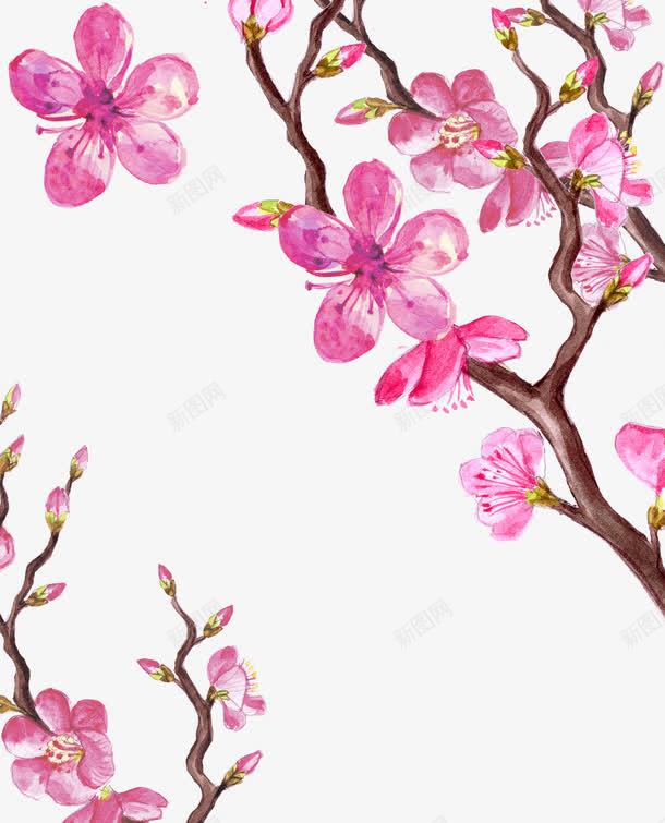 手绘鲜花png免抠素材_新图网 https://ixintu.com 手绘画 矢量装饰 粉色的花 装饰 鲜花