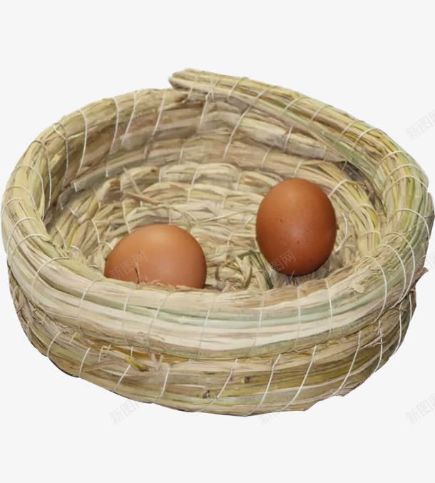 两个鸡蛋在里面的鸟窝png免抠素材_新图网 https://ixintu.com 两个 两颗鸡蛋 小动物窝 窝 编织 鸡蛋
