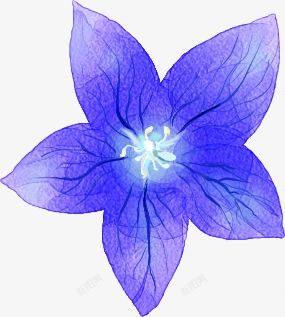 紫色唯美手绘花朵牵牛花png免抠素材_新图网 https://ixintu.com 牵牛 紫色 花朵