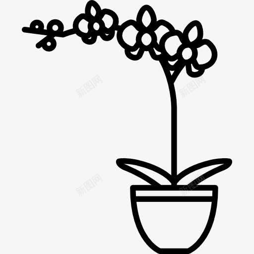 花在锅图标png_新图网 https://ixintu.com 开花 成长 植物 自然 花卉