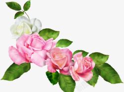 手绘粉色花朵艺术植物玫瑰素材