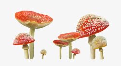 红色可爱小蘑菇素材