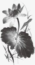 创意中国风笔墨植物花朵png免抠素材_新图网 https://ixintu.com 创意 国风 植物 笔墨 花朵