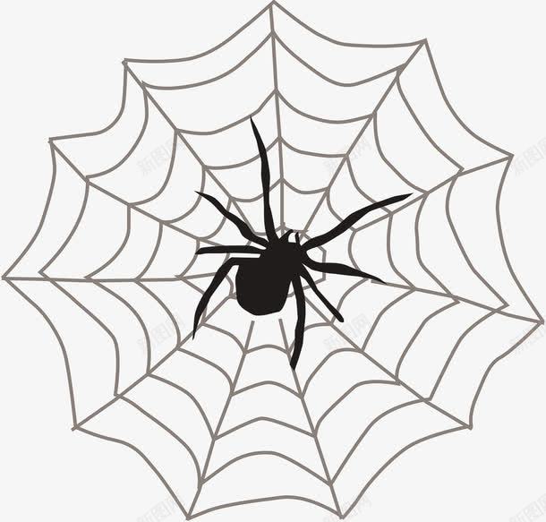 蜘蛛网上的蜘蛛png免抠素材_新图网 https://ixintu.com 动物 爬行 蜘蛛 蜘蛛网