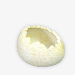 破壳的鸡蛋壳素材