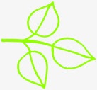 绿色简约树叶装饰png免抠素材_新图网 https://ixintu.com 树叶 简约 绿色 装饰